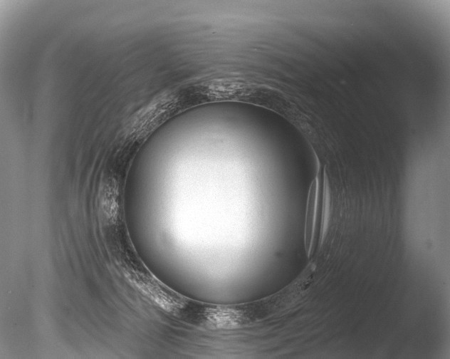 X0000086050226200703301114