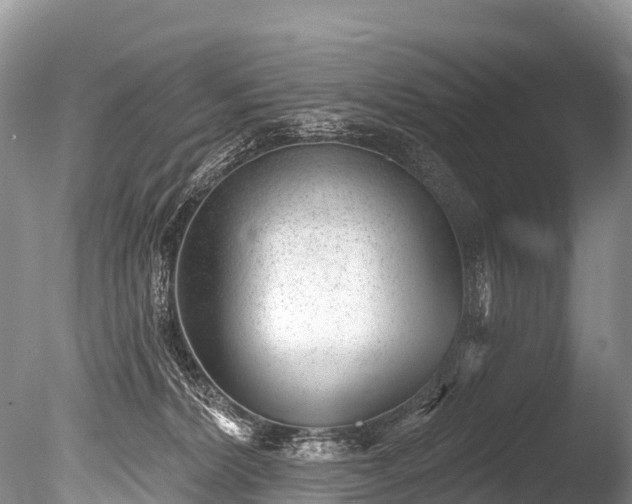X0000086050228200703301114