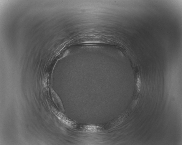 X0000086050233200703301114