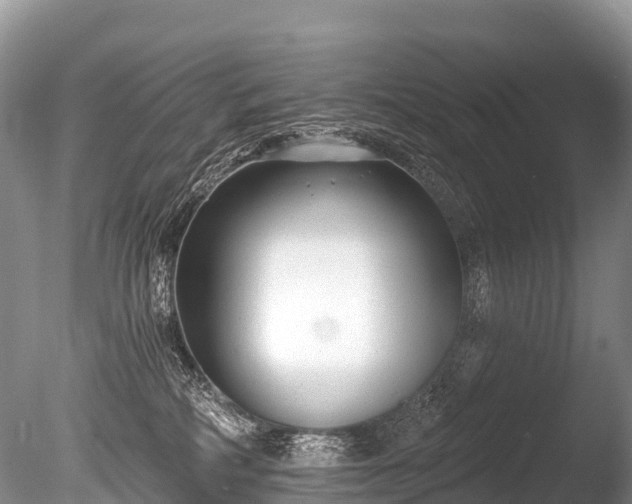 X0000086050234200703301114