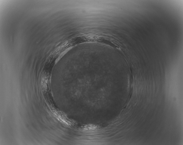 X0000086050235200703301114