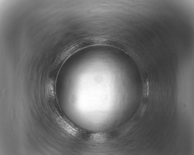 X0000086050238200703301114