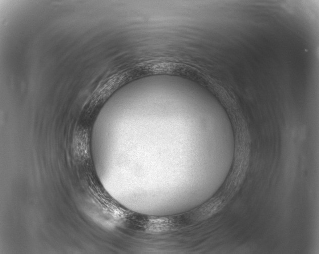 X0000086050240200703301114