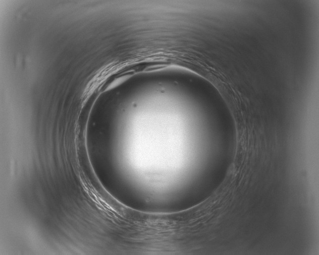 X0000086050242200703301113