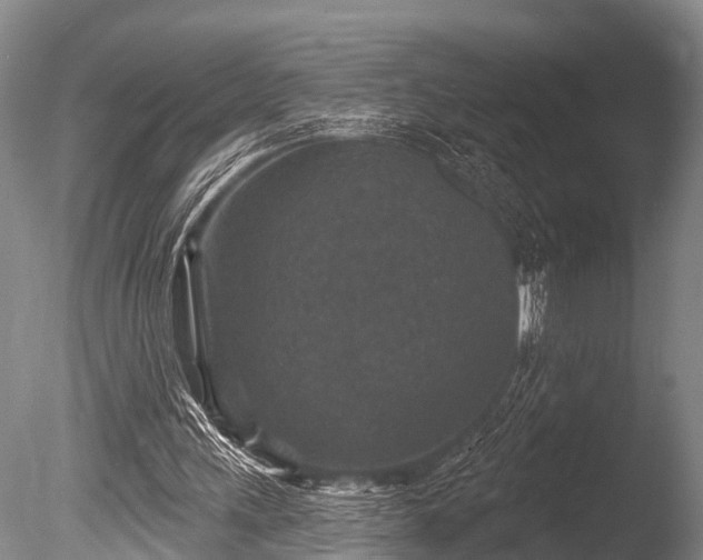 X0000086050243200703301113