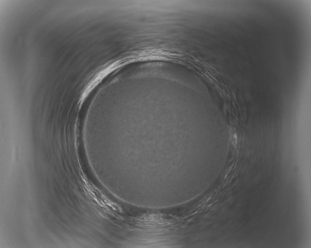 X0000086050244200703301113