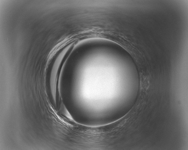 X0000086050245200703301113