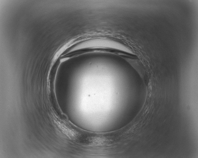 X0000086050246200703301113