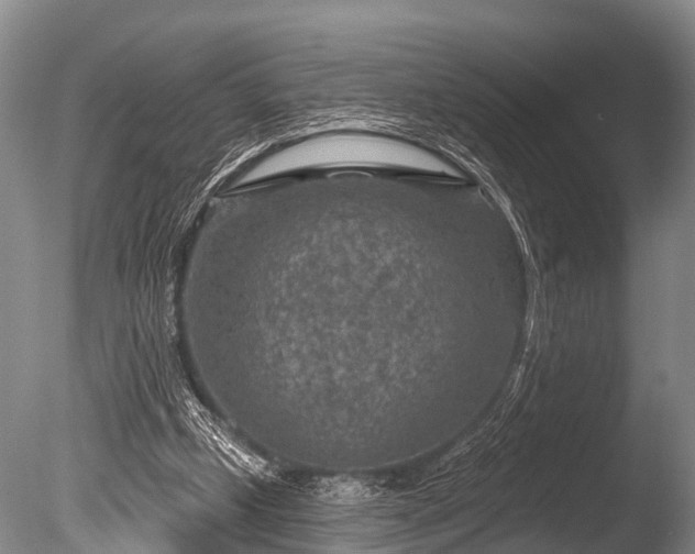 X0000086050249200703301113