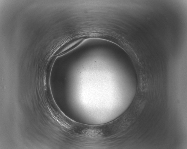 X0000086050251200703301113