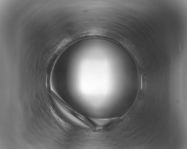 X0000086050253200703301113