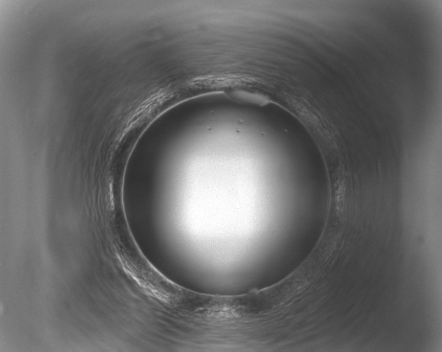 X0000086050254200703301113