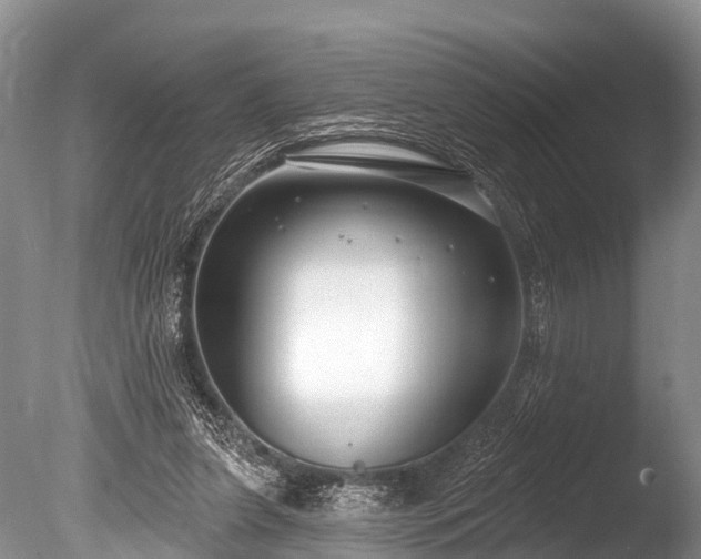 X0000086050255200703301113