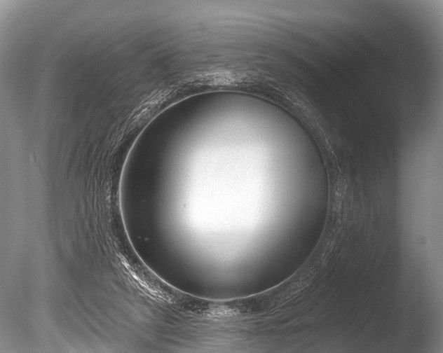 X0000086050257200703301113