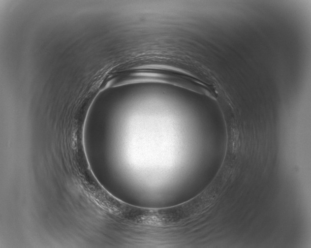 X0000086050259200703301113