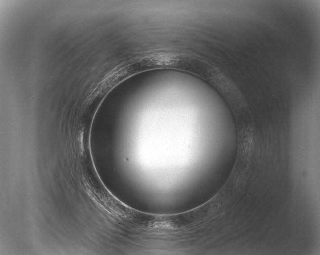 X0000086050262200703301113