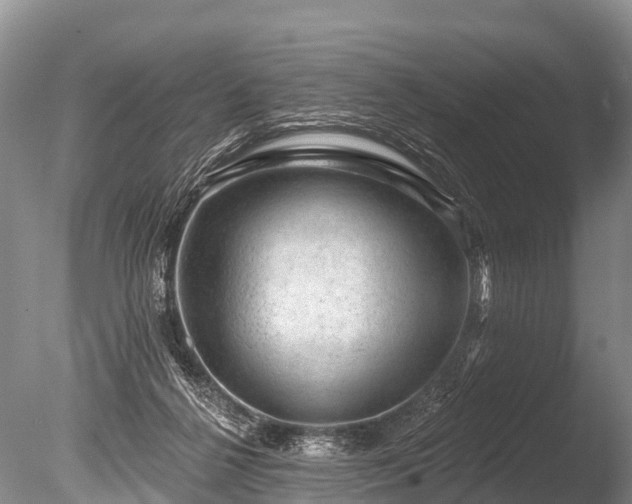 X0000086050264200703301113