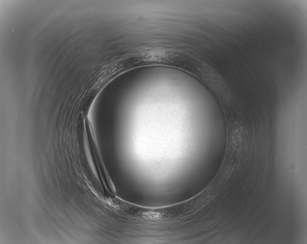 X0000086050265200703301114