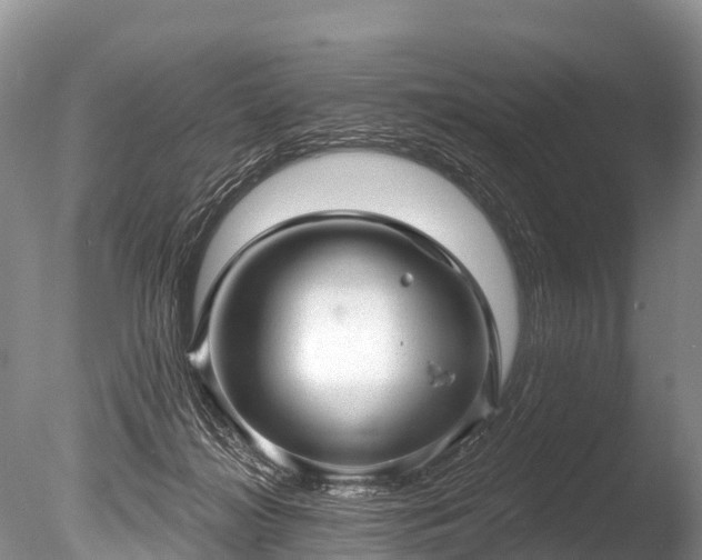 X0000086050268200703301114