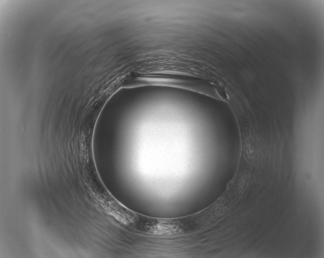 X0000086050270200703301114