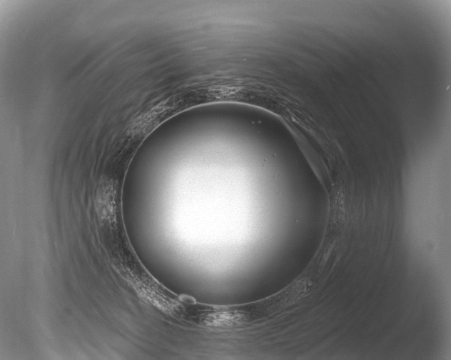 X0000086050274200703301114