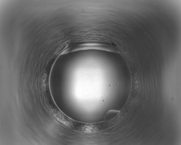 X0000086050275200703301114