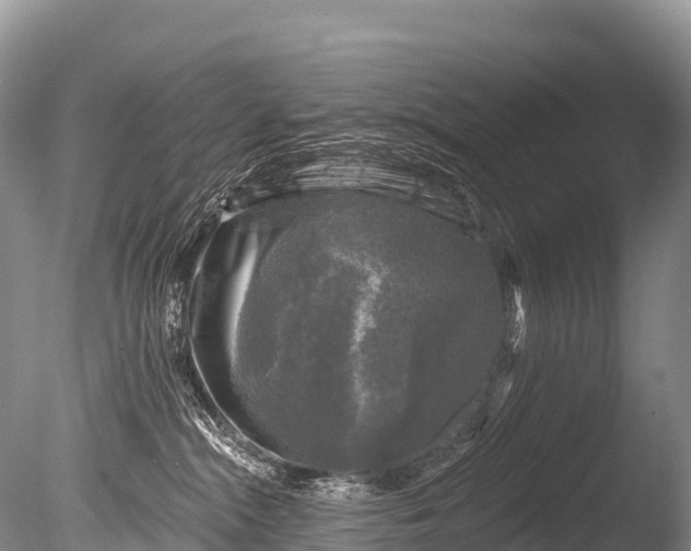 X0000086050284200703301114
