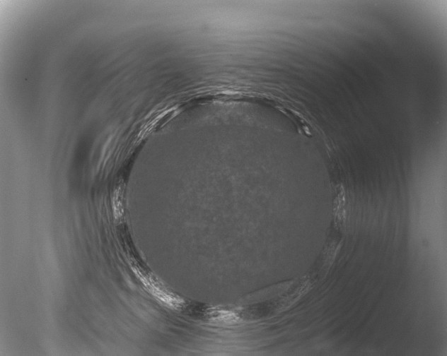 X0000086050285200703301114