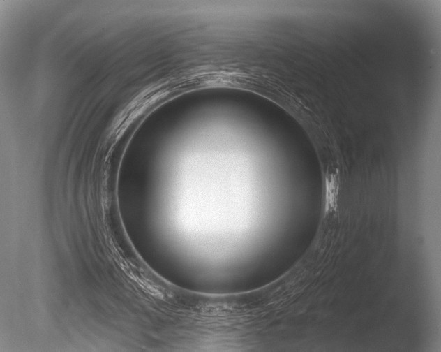 X0000086050291200703301113