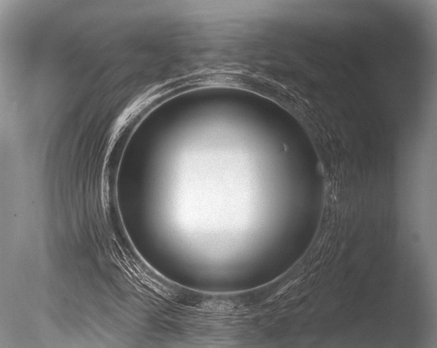 X0000086050294200703301113
