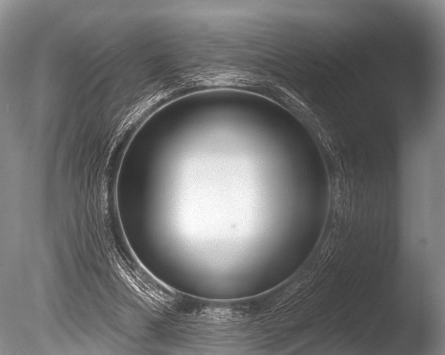 X0000086050298200703301113