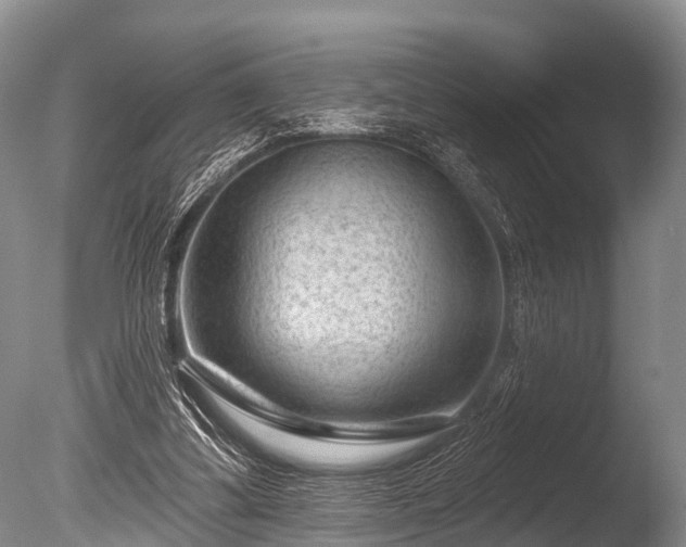 X0000086050299200703301113