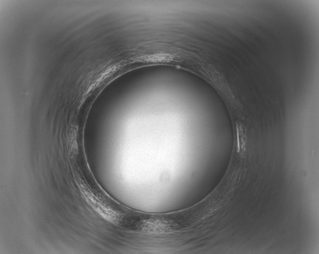 X0000086050300200703301113