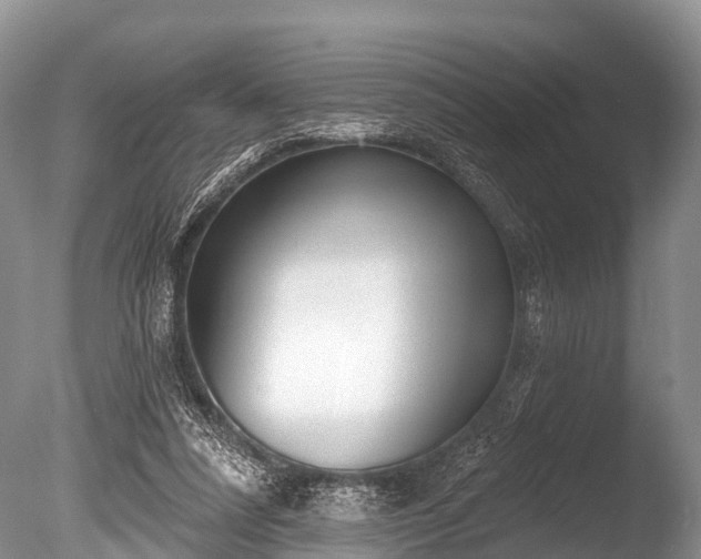 X0000086050304200703301113