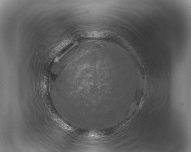 X0000086050305200703301113