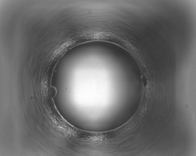 X0000086050306200703301113