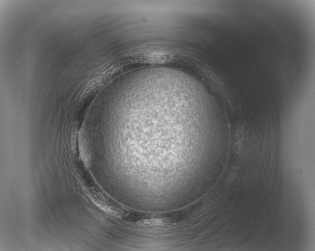 X0000086050307200703301113
