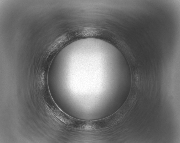 X0000086050308200703301113