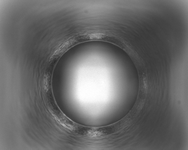 X0000086050311200703301113