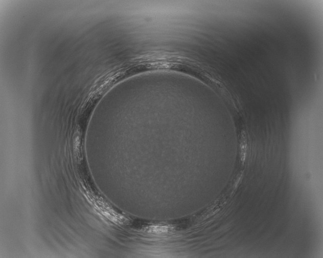 X0000086050314200703301113