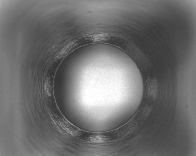 X0000086050316200703301113