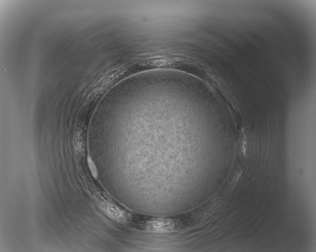 X0000086050317200703301113