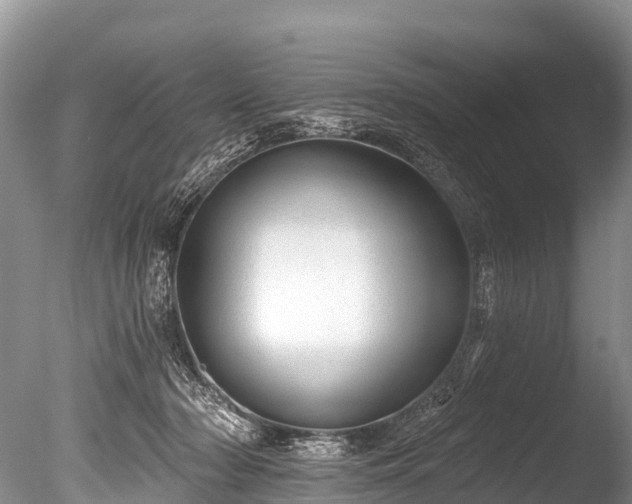 X0000086050318200703301113