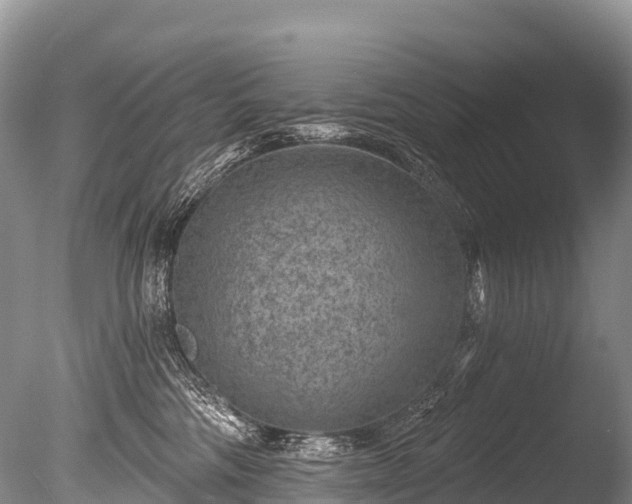 X0000086050330200703301112