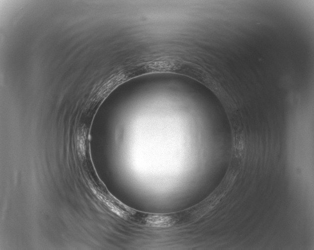 X0000086050334200703301112