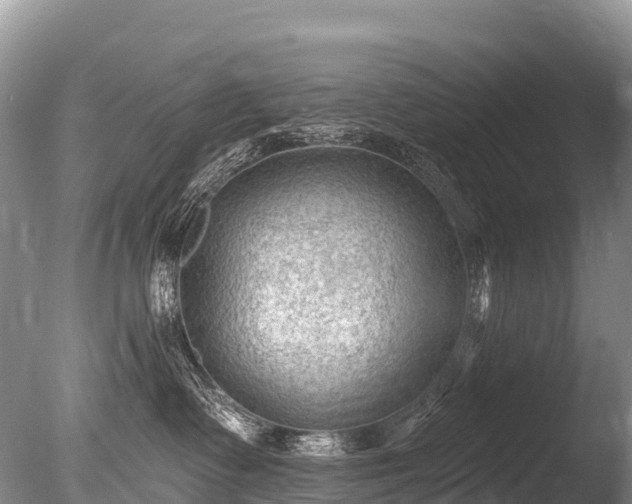 X0000086050335200703301112