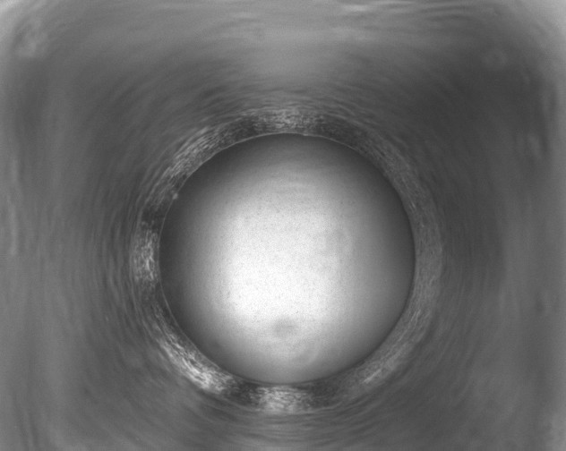 X0000086050336200703301112