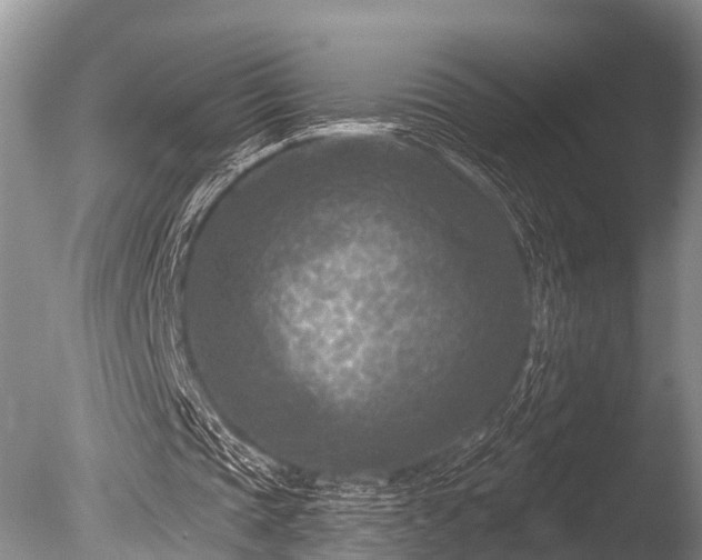 X0000086050337200703301111