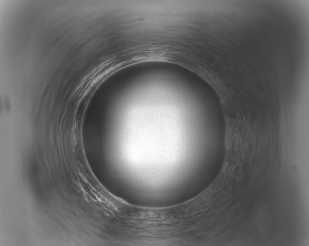 X0000086050338200703301111