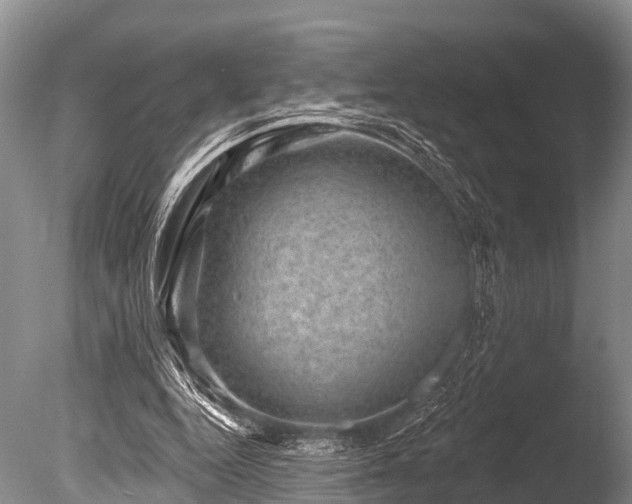 X0000086050344200703301112